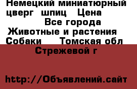 Немецкий миниатюрный(цверг) шпиц › Цена ­ 50 000 - Все города Животные и растения » Собаки   . Томская обл.,Стрежевой г.